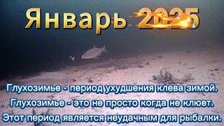 ДЛЯ РЫБАКА ЭТО СТРЕСС КОГДА НЕ КЛЮЁТ ЛЁД ГНИЁТ ЧТОБ УСПЕТЬ ПОЛОВИТЬ ВСТАЛ НА ЛЫЖИ И РВАНУЛ НА РЕЧКУ