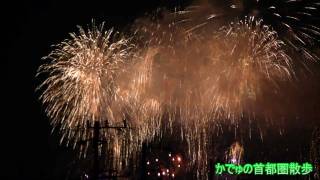 【HD】2009さいたま市花火大会大和田公園会場 (FIRE-WORKS (SAITAMA - Japan))