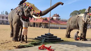 Koodalmanikyam megharjunan ll ഇവൻ ആരെയാ വിളിക്കുന്നെ 🐘