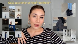 Tipos de feed *aesthetic* en Instagram ¿cual es tu estilo?/guía, tips, organización y mucho mas