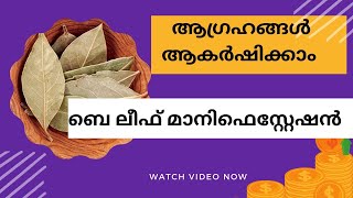 ബെ ലീഫ് മാനിഫെസ്റ്റേഷൻ | Bay Leaf Manifestation