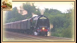 46233 Duchess of Sutherland Dominates Dainton and Hemerdon.       The Royal Duchy, 28th Aug. 2016