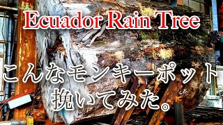 こんなモンキーポット挽いてみた。Ecuador Rain Tree Sawing!!