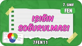 Işığın Soğurulması 📗 tonguçCUP 3.Sezon - 7FEN11 #2024