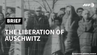 Footage of Auschwitz liberation in 1945 shows horrific conditions | AFP