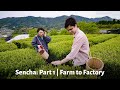 How Sencha is Made: Part 1 | Japan's Most Popular Green Tea