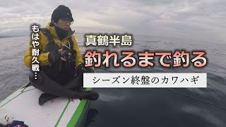 この冬最後の至高の食材をサップフィッシングで確保する　【真鶴カワハギ釣り】