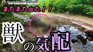 【北海道渓流ルアー】またまた出た！獣の気配！！そこにいた獣とは・・・。