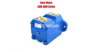 Eaton Vickers 25M 35M 45M 50M Vane Motor