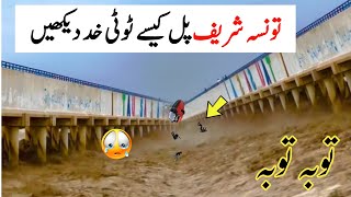 taunsa sharif flood 2022 | taunsa sharif pul update | تونسہ شریف پل ٹوٹ گئ | Flood In River taunsa