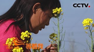 [等着我 第五季] 发布寻人启事 吴兵终于和家人团聚 | CCTV