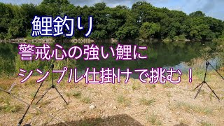 【＃鯉釣り】仕掛けを簡単にして鯉の警戒心を解くのだ！