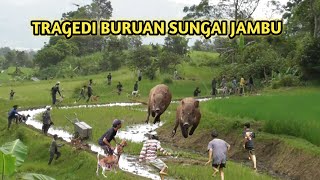 Detik-Detik Menegangkan⁉️ Tragedi Buruan Sungai Jambu || Hama Babi M4t1 Seketika