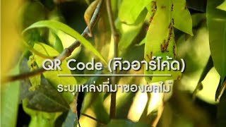 ชุมชนน่ารู้ ตอน 10 QR Code ระบุแหล่งที่มาของผลไม้