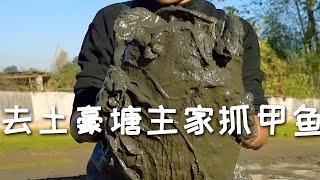 【戶外捕魚VLOG】跟表妹去土豪塘主家抓甲魚，沒想到塘裏的變異甲魚居然這麼多...