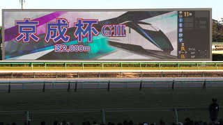 2024 1 14 京成杯（勝利馬 ダノンデサイル・横山 典弘）　中山競馬場　ジュンゴールド　アーバンシック　バードウォッチャー