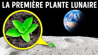 Des Plantes Sur La Lune + Quelques-Uns Des Faits Les Plus Incroyables Sur Les Plantes