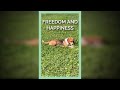 Freedom and Happiness #shorts