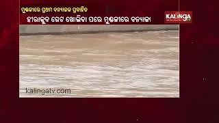 Season’s First Flood Water Reaches Mundali Barrage In Cuttack || KalingaTV