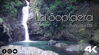 La Soplaera ,Peñuelas PR