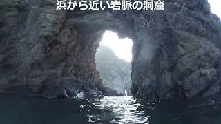 一人でシュノーケル＆素潜り　浮島海岸（静岡県）　左の浜の岩脈の洞窟探検もしました！キンチャクダイ幼魚？謎の魚（ゲンゲ？）アオリイカのいる洞窟に会えたよ！2023年9月17日