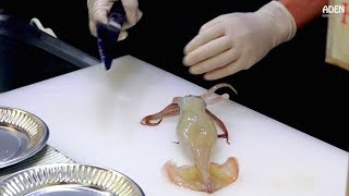 Street Food Japan - Squid Sashimi