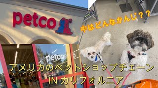 アメリカ本場のペットショップ　中を探索　犬　猫　その他