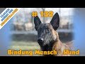 TGH 132 Bindung zwischen Mensch und Hund - Beziehung Mensch Hund - Hundeschule Stadtfelle