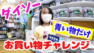 ダイソーお題の物しか買えません！チャレンジ【お買い物チャレンジ】にゃーにゃちゃんねるnya-nya channel