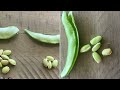 how to identify different indian beans or chikkudu kaya or avarakkai