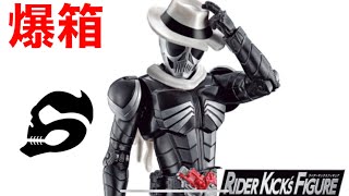 【爆箱】 Nobody's Perfect ~R.K.F. KAMEN RIDER SKULL