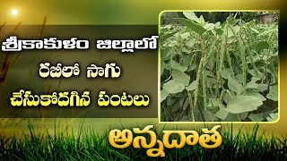 Rabi Crops | for Srikakulam