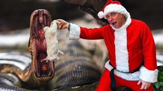 FEEDING MY GIANT SNAKES AND ALL MY REPTILE DRESSED AS SANTA!! MERRY CHRISTMAS! | BRIAN BARCZYK