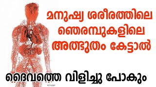 മനുഷ്യ ശരീരത്തിലെ ഞെരമ്പുകളിലെ അത്ഭുതം ISLAMIC SPEECH MALAYALAM IHSAN MEDIA