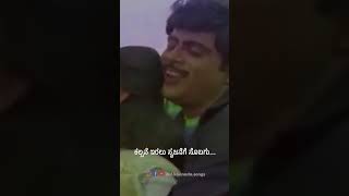 Kolalu Neenire #shorts #trending #shortsvideo #kannada #oldkannadasongs #kannadareels  #oldisgold