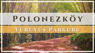 Polonezköy Yürüyüş Parkuru | Polonezköy'de Sonbahar - İstanbul 4K