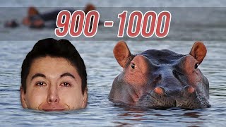 GM Hansen's Hippo Speedrun | Part 2