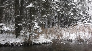 NAD KAMIONKĄ 24.12.2018