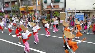 丸若連、東武連／流し踊り（終点附近）／堀切かつしか菖蒲まつりパレード 2018