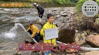 【鮎】安田川鮎の放流です