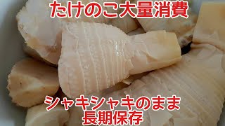 たけのこの大量保存/長期保存/いつでも新鮮