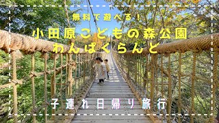 ［小田原こどもの森公園わんぱくらんど］日帰り旅