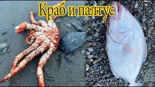 Краб и палтус | Отличная морская рыбалка 😍👍