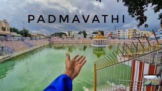 Padmavathi Ammavari Temple Tirupati || Sri Padmavathi Ammavari Temple Tiruchanoor || Tirupati