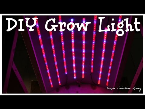 Diy 35 Led Grow Light Playithub Largest Videos Hub Diy 35 Led Grow Light Playithub Largest Videos Hub