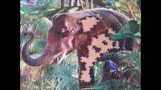 PUZZLE RAVENSBURGER 9000 JUNGLE ANIMALS PART 02