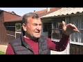 zvonko krstić golubar iz jakova