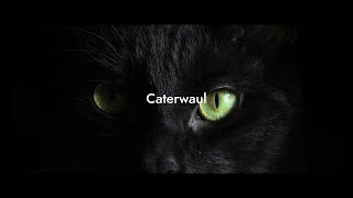 Swizzll - Caterwaul ft. 闇音レンリ (Yamine Renri)