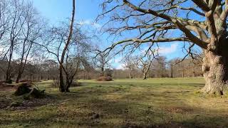 Denny Wood Campsite