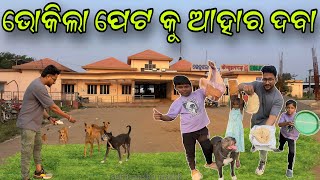 ଭୋକିଲା ପେଟ କୁ ଆହାର ଦେବା || MINI ZOO ODISHA || street dog || Animal lover || @JAPUARABPETVLOG